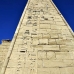 temple_habu_lux_v_0114_egy2308.jpg